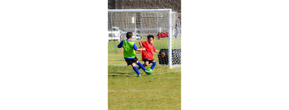 Spring Week #7 Picture Winner