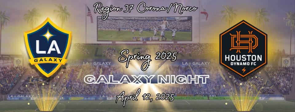 Galaxy Night